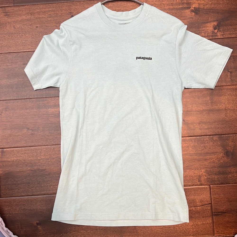 Patagonia shirt